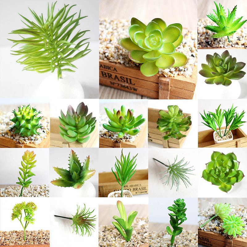 100 pcs Artificial miniature succulents for crafts and jewellery