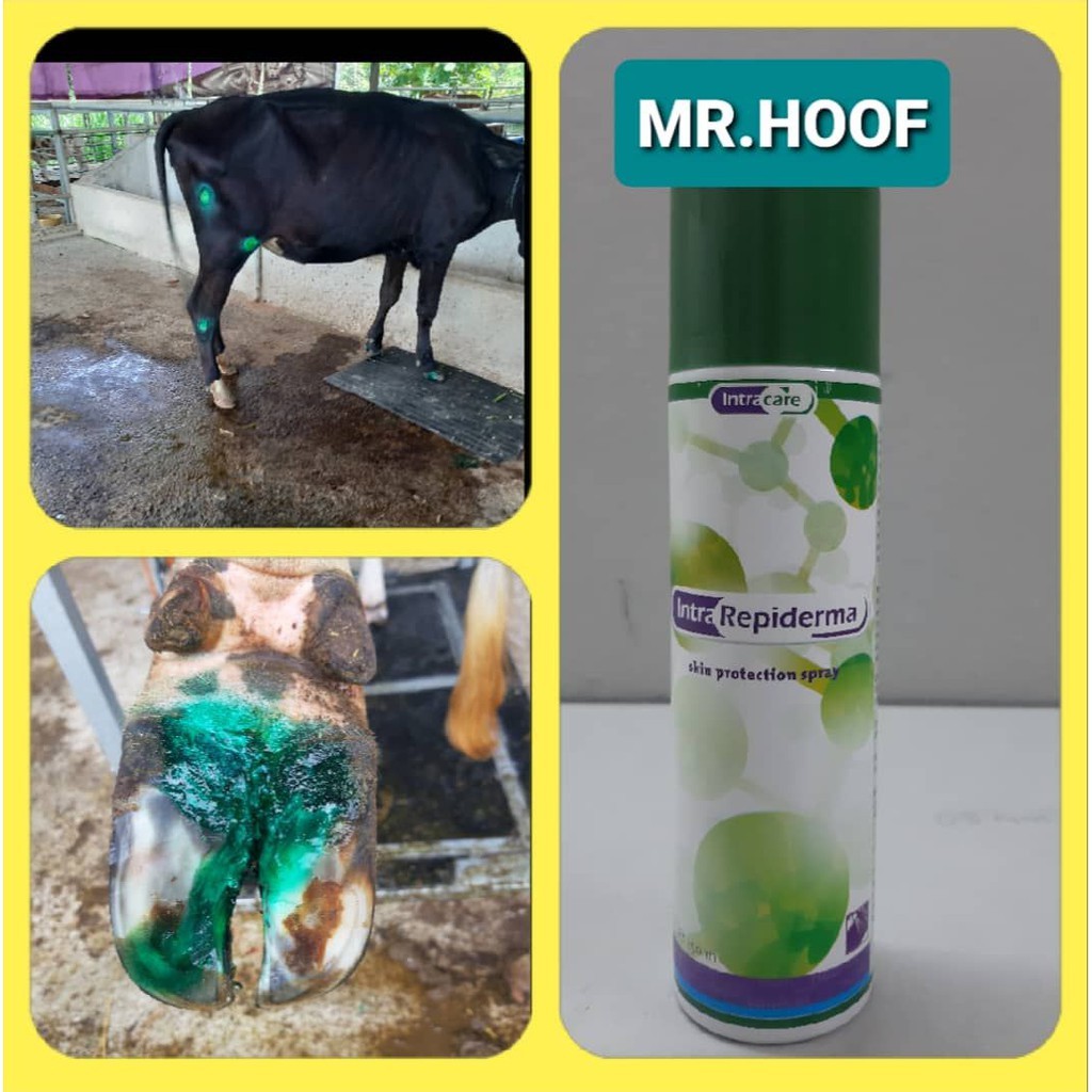 Spray Luka Haiwan Ternakan Lembu Kambing Kuda Intrarepiderma Spray Shopee Malaysia