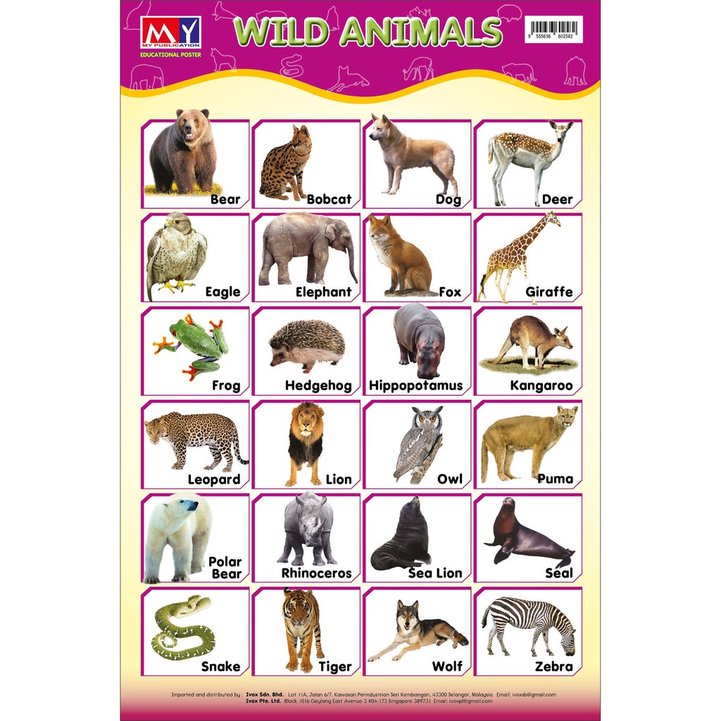 Ivox Education Poster Children Wall Chart Kanak Kanak Poster Pendidikan Poster Gambar For Kids Wild Animals Shopee Malaysia