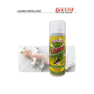 Daiso Bird Spike, Bird Repellent Spike Anti Bird, Dove 