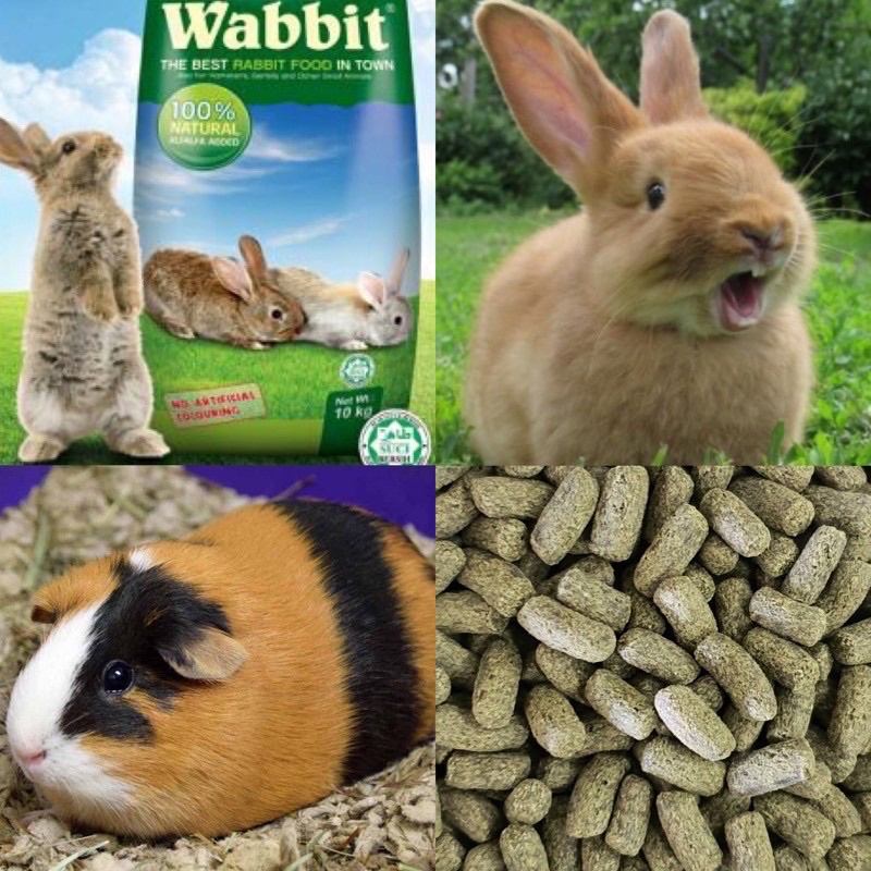 1kg Rabbit Food/Makanan Arnab/Wabbit/Guinea Pig Food Repack 1Kg Shopee Malaysia