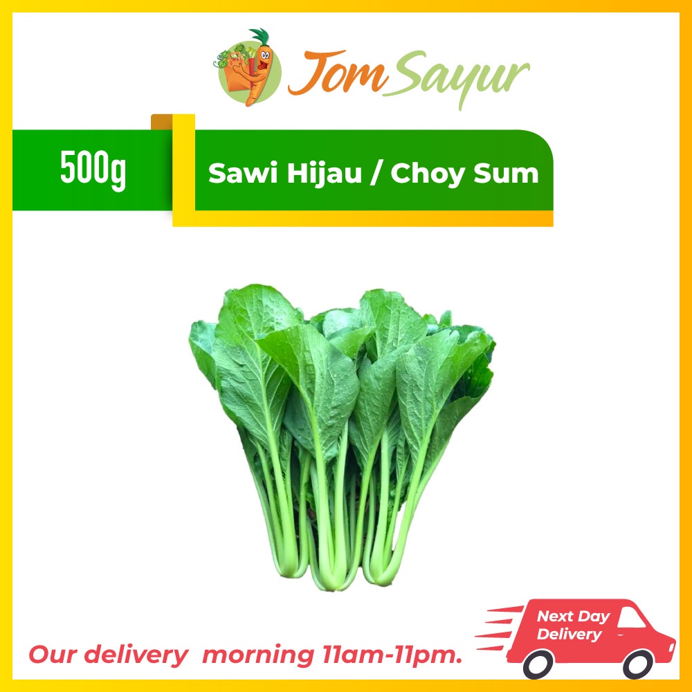 Sawi Hijau Choy Sum 500g Shopee Malaysia