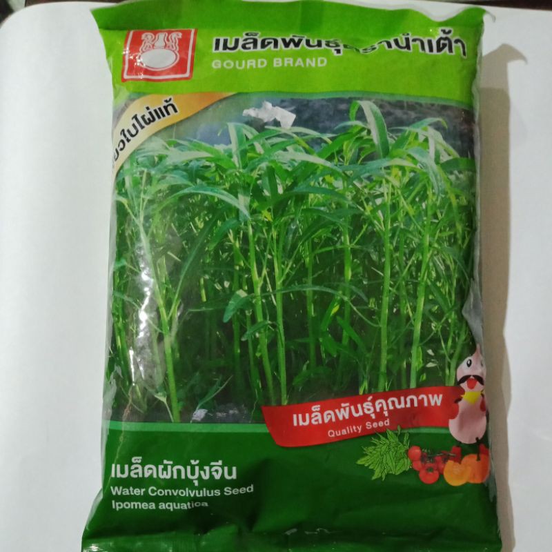 Water Convolvulus Seed Biji Benih Kangkung 1kg Shopee Malaysia