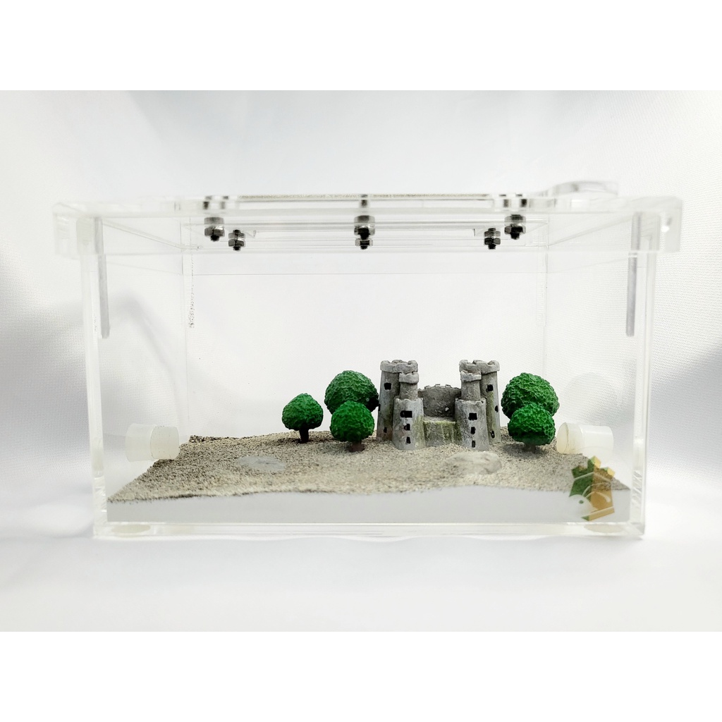 Outworld Castle In The Wood Ant Keeping Ant Outworld Ant Farm Ant