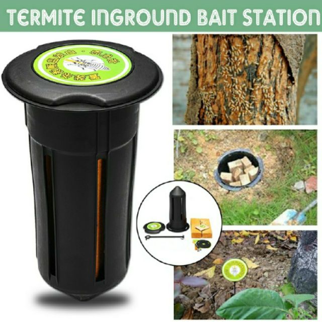 Umpan Hapuskan Anai Anai Keseluruhan Koloni Termite Bait Eliminator Shopee Malaysia