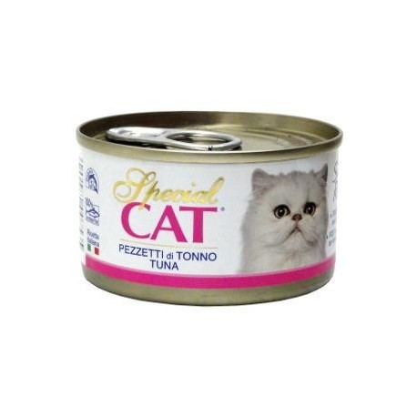 special cat food