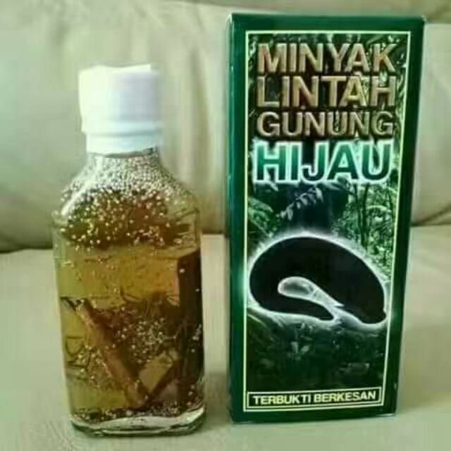 40+ Trend Terbaru Minyak Lintah Gunung Hijau