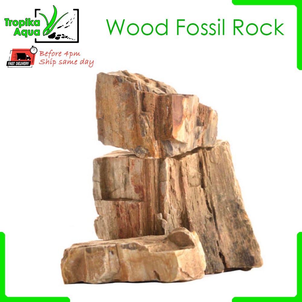 Wood Fossil Rock Purified Wood Rock aquarium aquascape fish tank