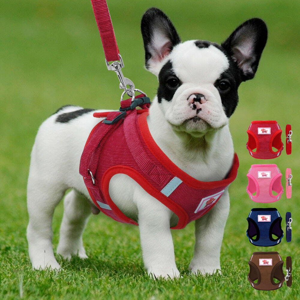 Soft Mesh Dog Harness Leash Reflective Puppy Cat Kitten Jacket