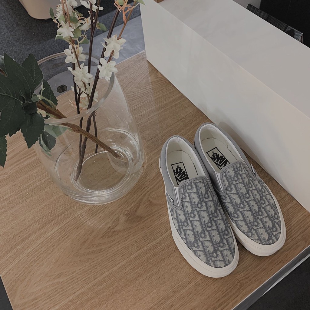 dior vans slip on