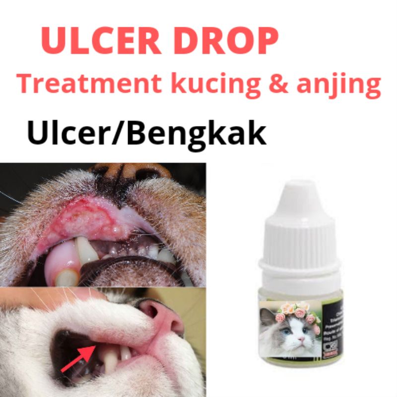 Ubat Ulcer/ Ulser mulut kucing, sakit mulut kucing, cat dog ulcer drop