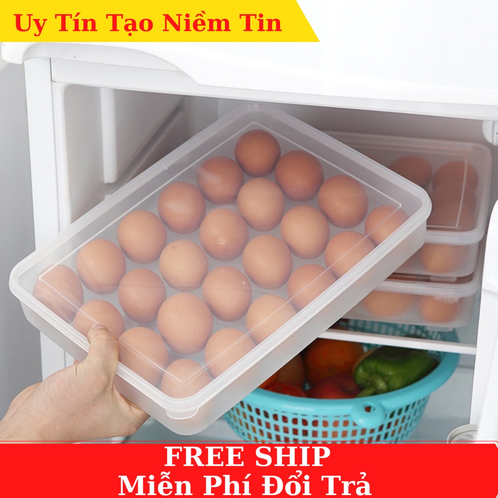 Egg Compartment 24 Fruits With Lid For VietnameseJapanese Genuine