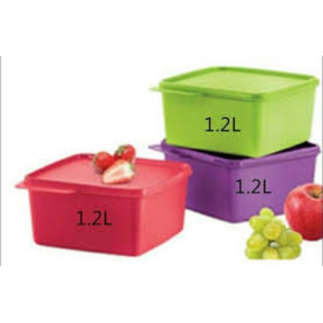 Tupperware CozyNest 1.2L (3)