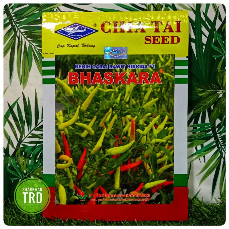 1 Paket 10 Gram BHASKARA F1 Biji Benih Cili Padi Api Cap Kapal Terbang Chia Tai Seed F1 Hybrid Cheyenne Pepper Seeds.