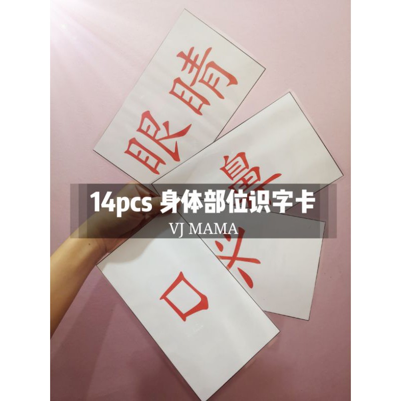 14 Pcs Body Parts Flashcards 14张身体部位识字闪卡 Shopee Malaysia