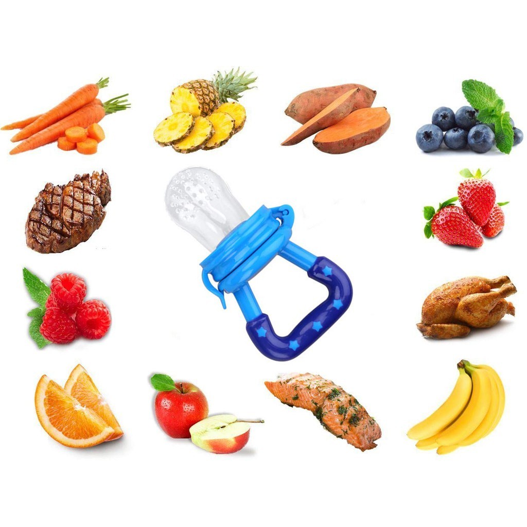fruit pacifier feeder