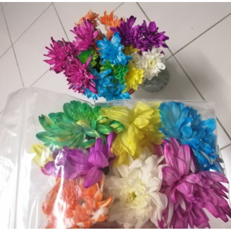 现货 花瓣供七色花浴用途 好运连连 Shopee Malaysia