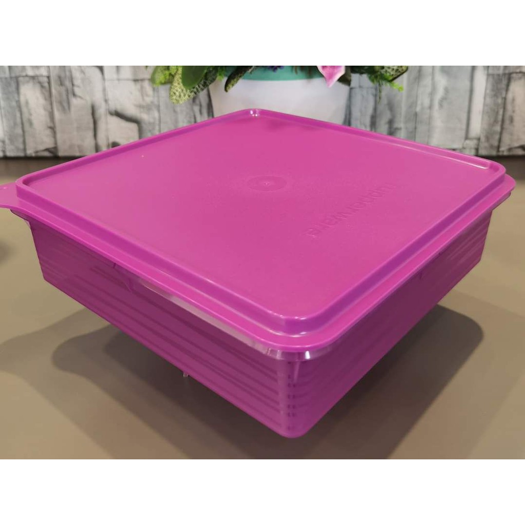 Ready Stock Tupperware B2b Snack Stor 2 9l