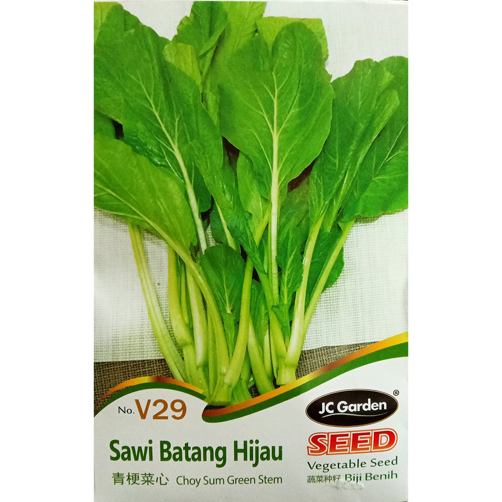 V29 Choy Sum Green Stem Jc Garden Vegetable Seed Biji Benih Sawi Batang