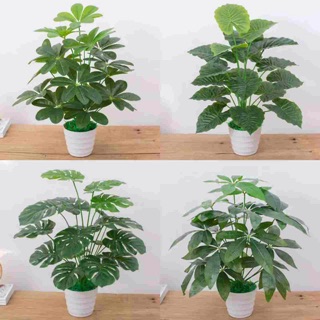 ARTIFICIAL PLANT POKOK HIASAN PLASTIK  READY STOCK 