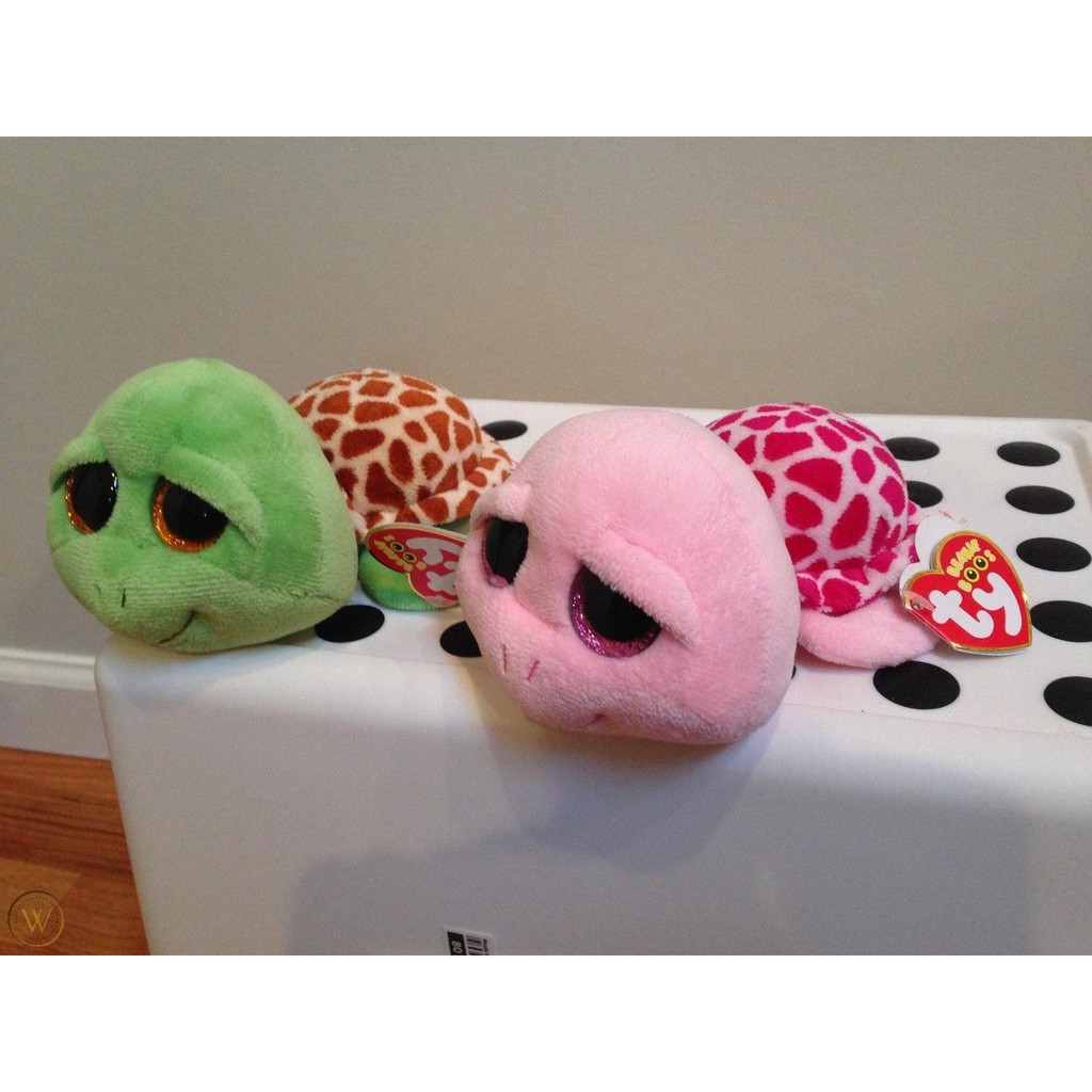 zippy ty turtle