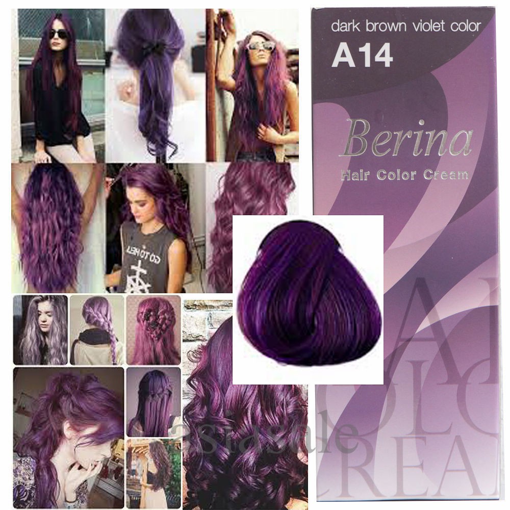 Berina A14 Unisex Sexy Punk Style Dark Brown Violet Permanent Hair Dye Cream