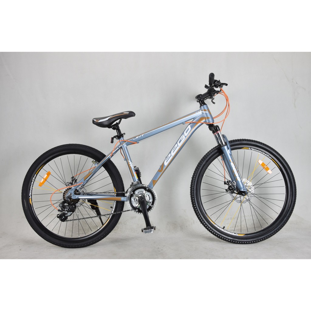 veego bicycle