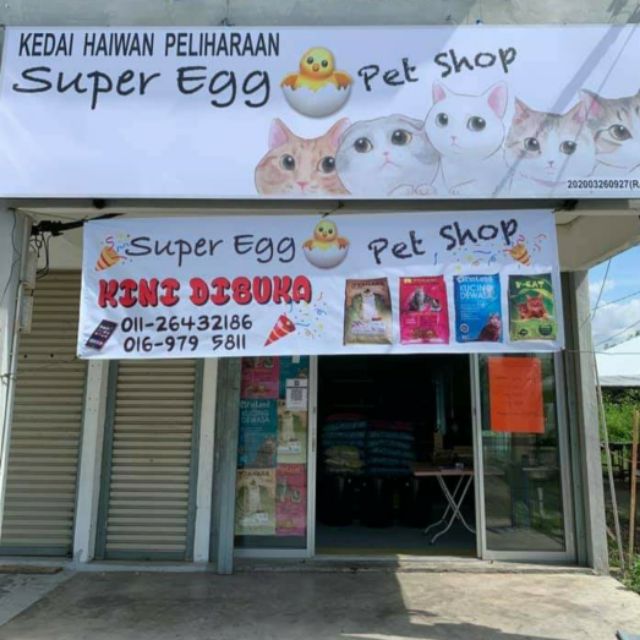 Mainan Kanak Kanak My Little Pony Shopee Malaysia