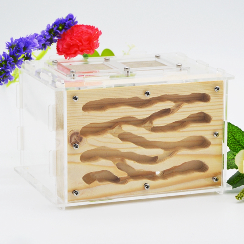 2019 New DIY Wooden Ant Farm Ecological Acrylic Ant Nest15x14x10cm with