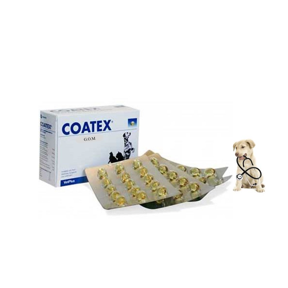 Ready Stock Coatex Capsule For Cat And Dog 180 Capsules Exp 310722