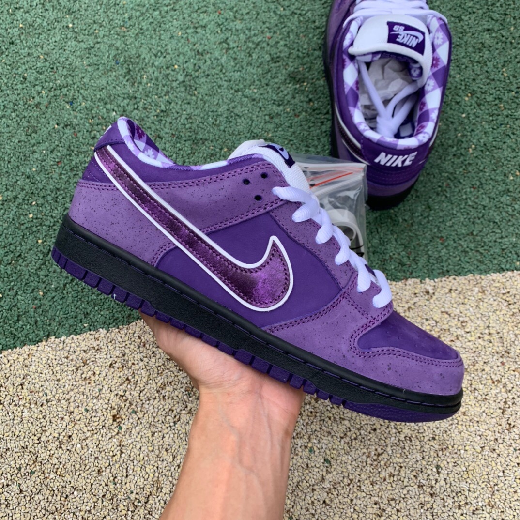 concepts x nike sb dunk low purple lobster