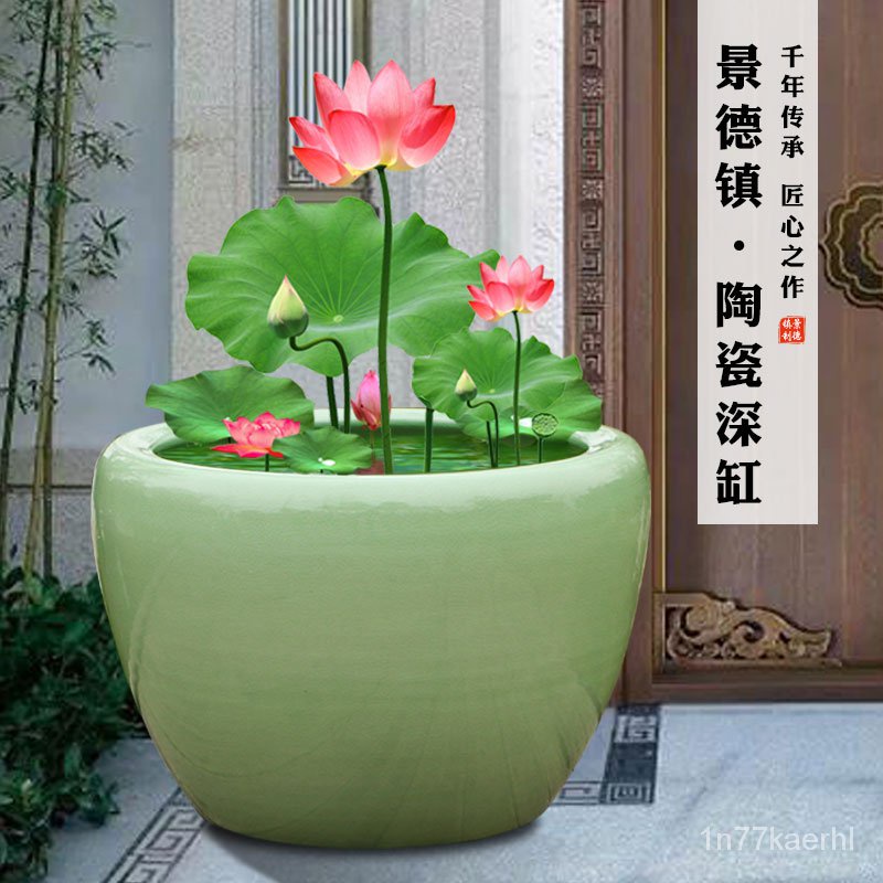 Flower Pot Large睡莲花盆青花瓷碗莲荷花盆水缸种铁树发财树花盆庭院特大陶瓷鱼缸 Shopee Malaysia