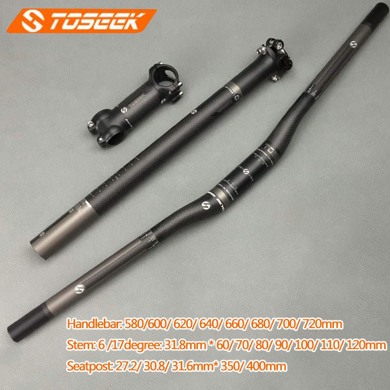 toseek carbon stem