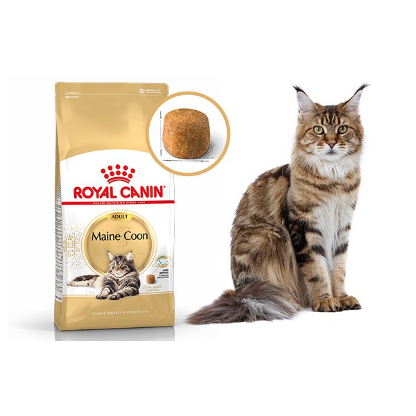 Royal Canin Feline Maine Coon Cat Food 10kg Shopee Malaysia