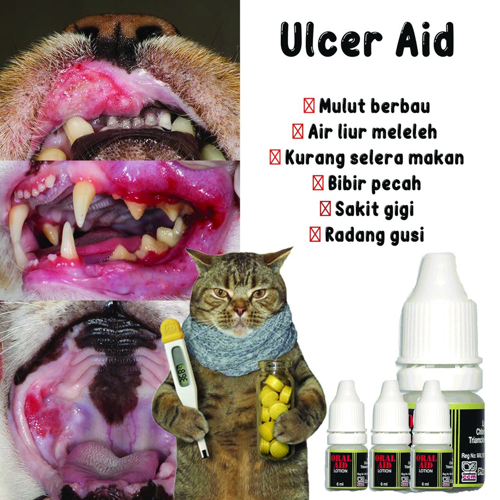 Buy Ubat Ulser Titis Sakit Mulut Kucing Anjing Seetracker Malaysia