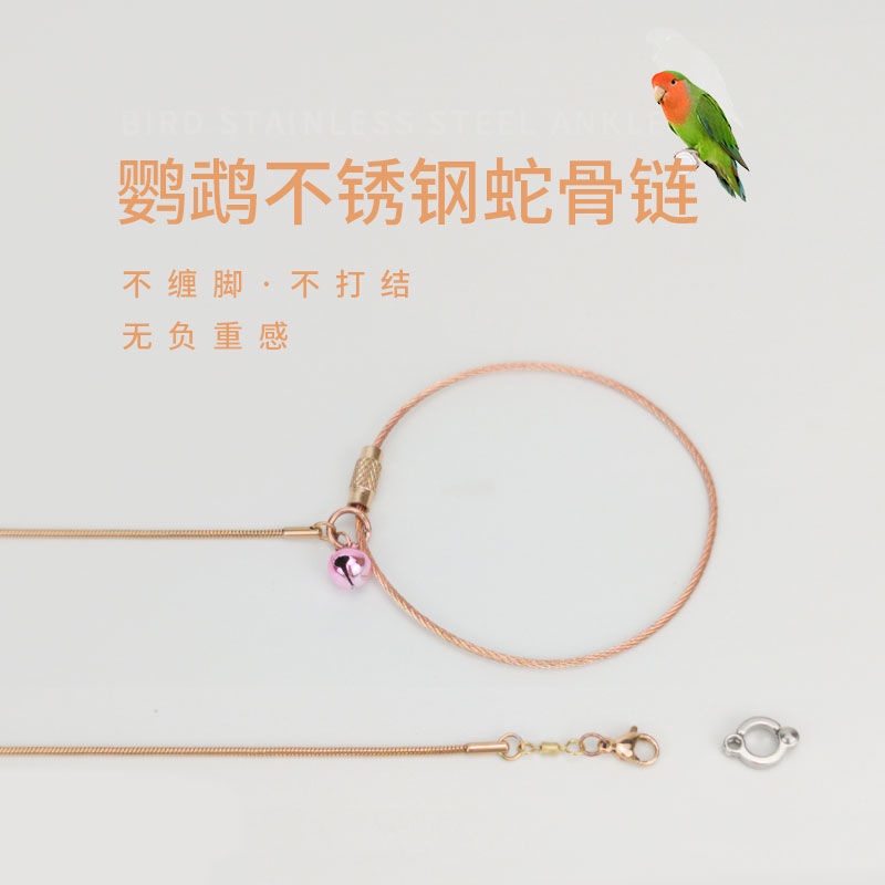 Stainless Steel Parrot Foot Ring Tiger Skin Peony Xuanfeng Stand Bird Chain Use Anklet Flying Rope Traction topdezhi.my7