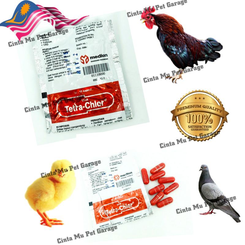 Tetra Chior ubat burung dan ayam Tetra chior bid and chicken medicine  1packet 10capsules