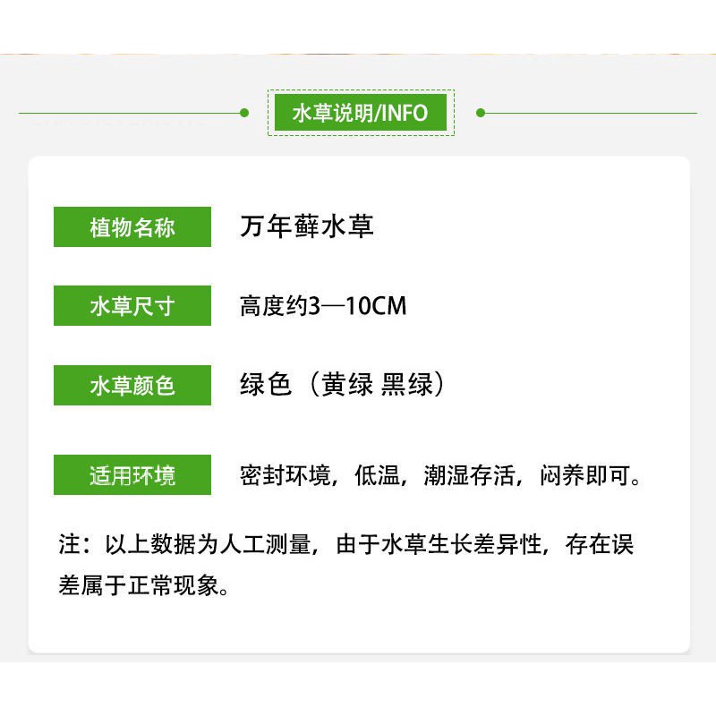 Paper 瓶活体万年水族箱鱼缸耐活苔藓藓鱼草耐低温造景水草水草organizers鱼缸生态 Shopee Malaysia