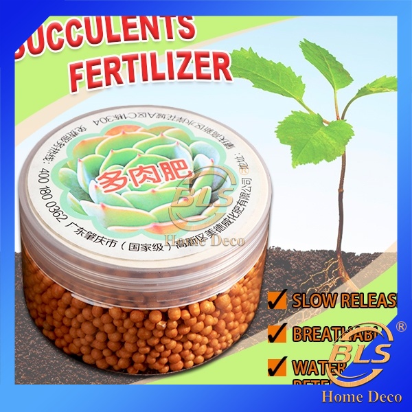 1 Gram Succulent Slow Release Fertilizer Npk 14 14 14 Granular General Manure 多肉植物缓释肥颗粒通用肥料