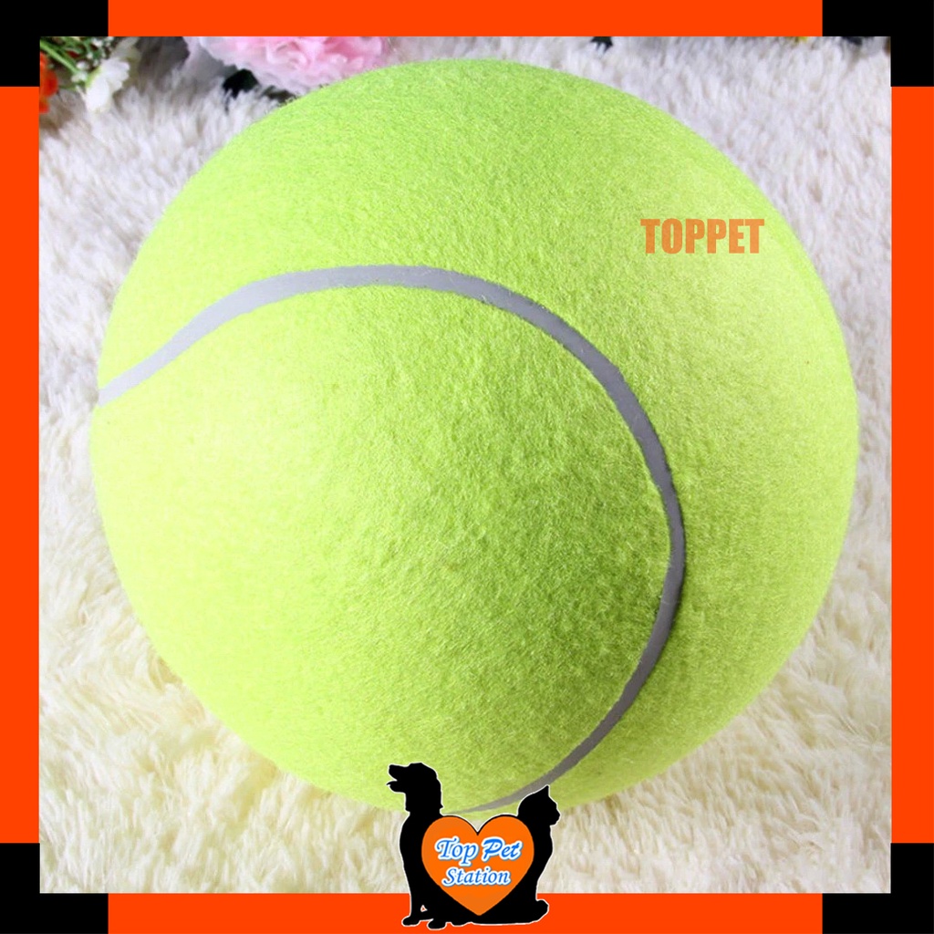 Top Pet Tennis Ball Dog Toy