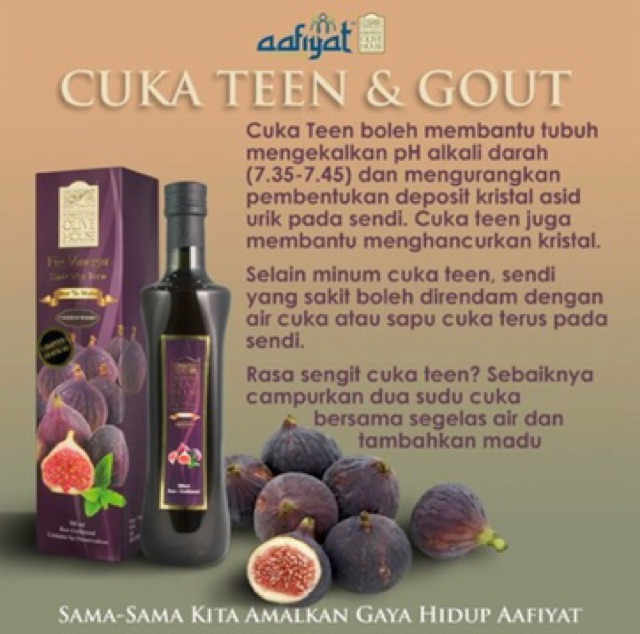 Hot Sale Cuka Teen Olive House Fig Vinegar Sari Cuka Buah Tin Free Gift 250ml Shopee Malaysia