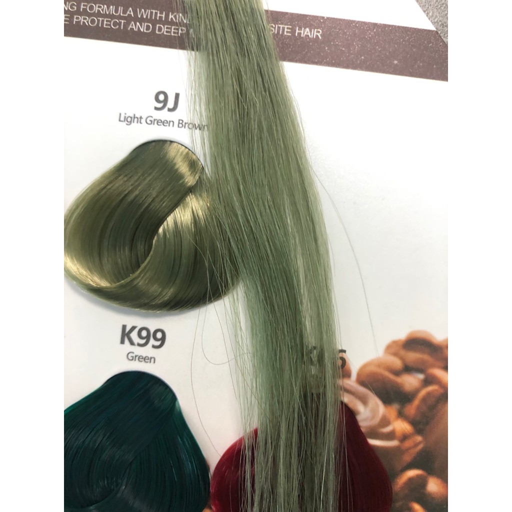 Kami Moss Color Hair Color Splashing Need Bleach | Shopee Malaysia