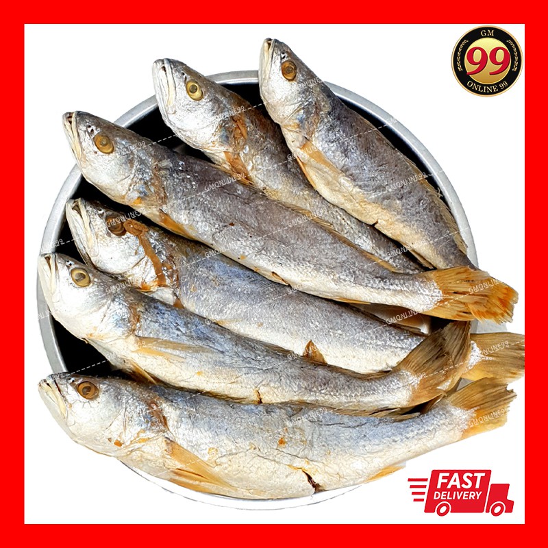 Fish gelama Chinese Salted