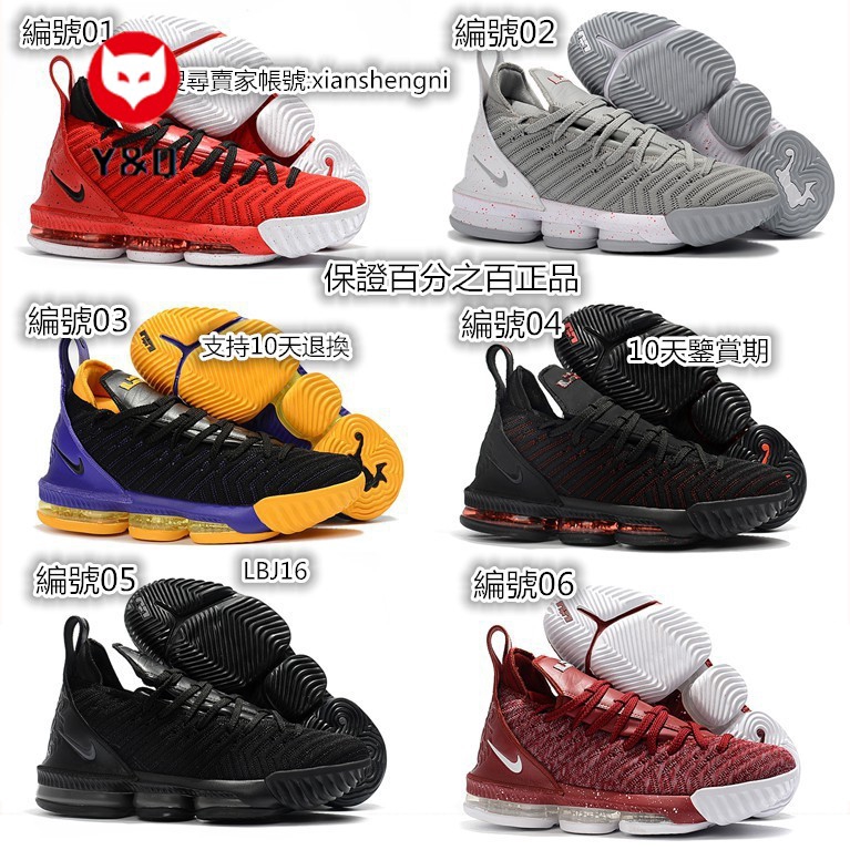 lbj 16 shoes