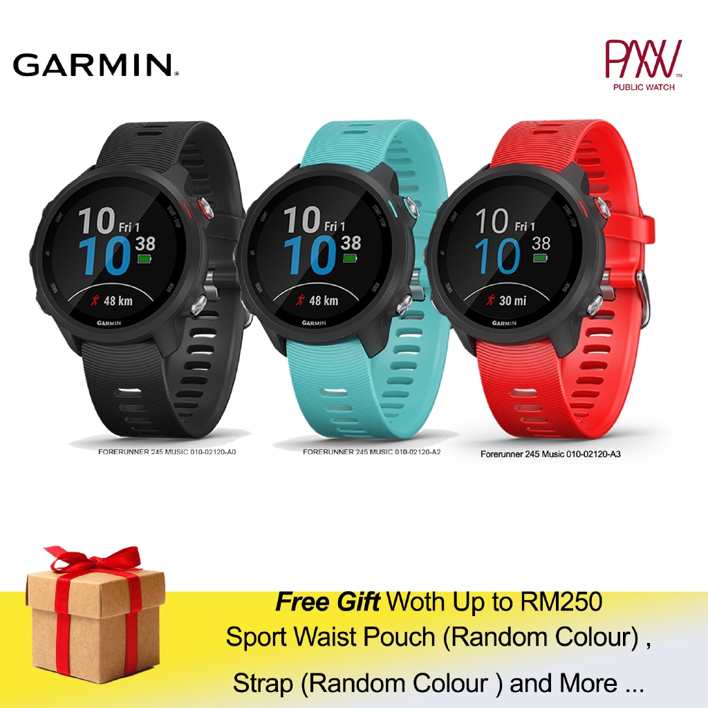 forerunner 100