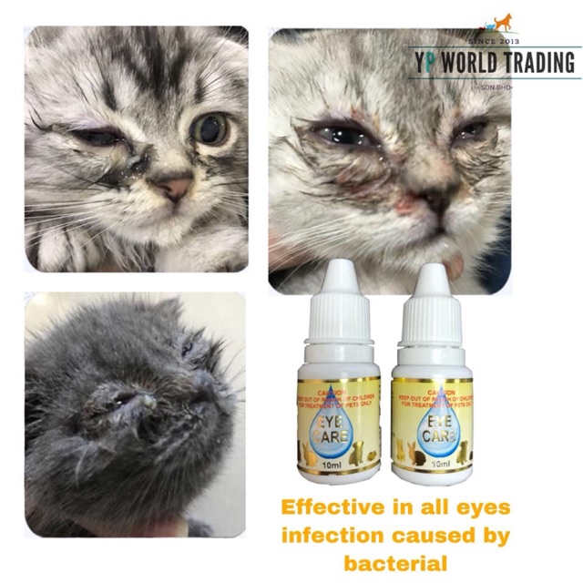 Eye care Ubat mata kucing/eye drops cat  Shopee Malaysia