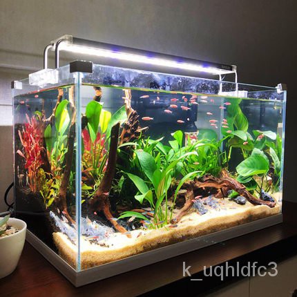 Fish Tank森森加宽超白玻璃鱼缸客厅小型生态水族箱水草缸中型桌面金鱼缸