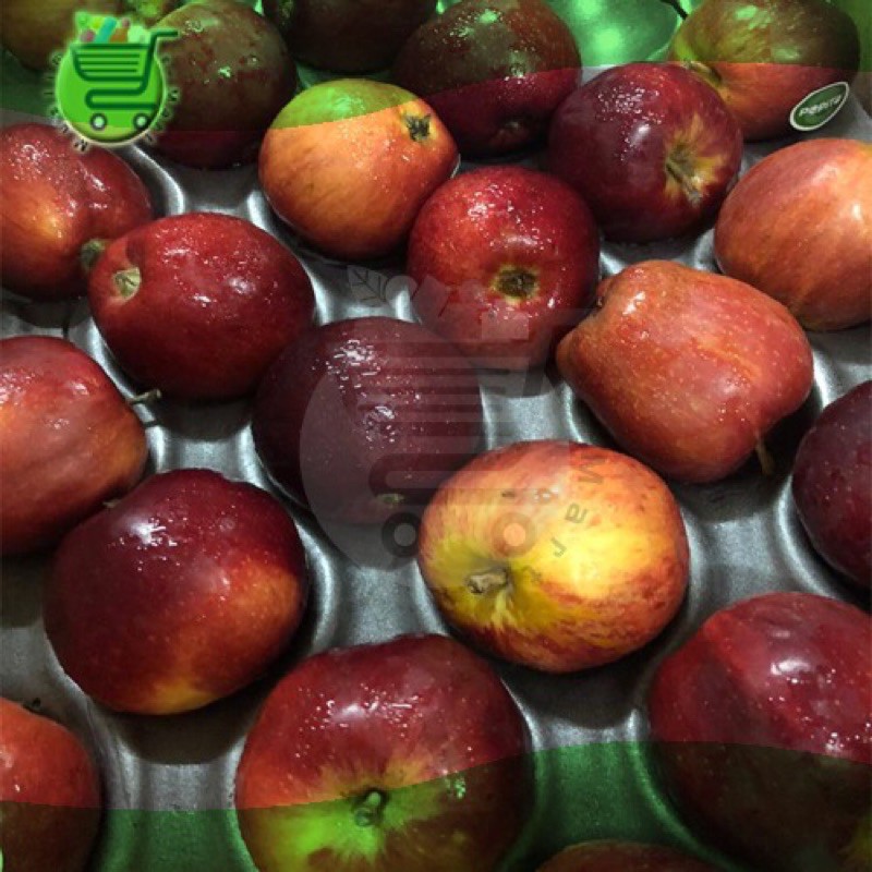 Buah Epal Apple Fruit 10pcs Shopee Malaysia