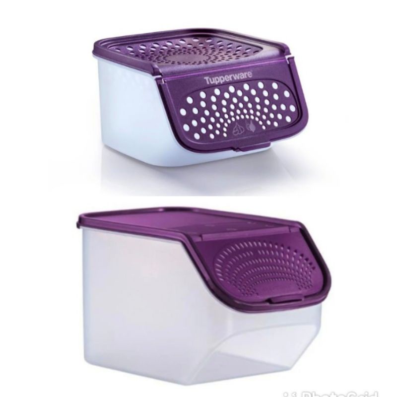 TUPPERWARE GARLIC N ALL / Bekas Bawang Kentang/ Garlic Storage / Onion Keeper /Container / Potato