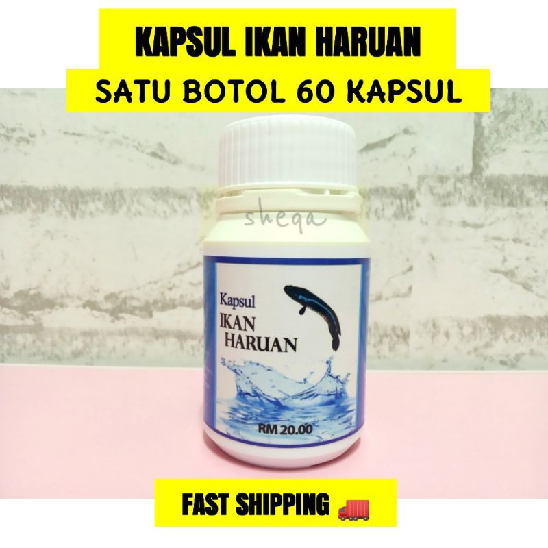 pati ikan haruan